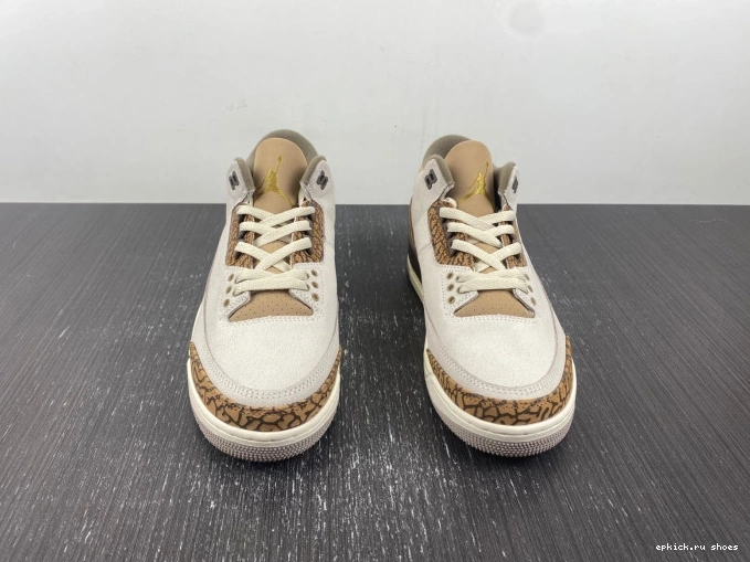 Rep CT8532-102 Palomino Jordan Air 3 0821